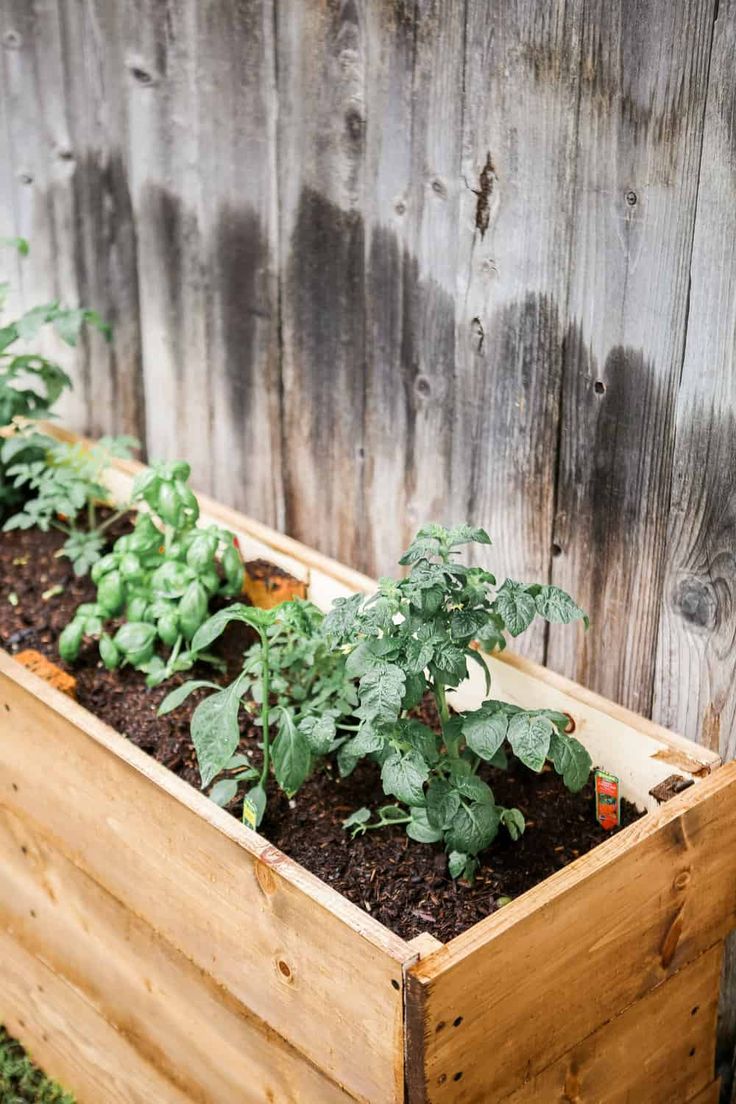 Wooden box herb planter